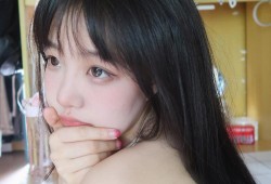 如何选择适合成年猫咪的优质猫粮推荐